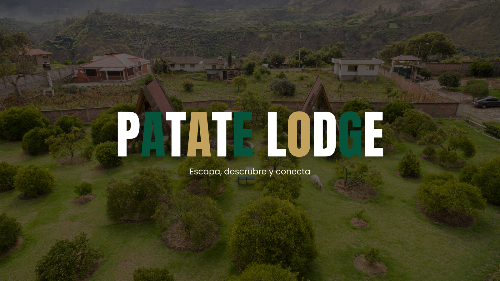 FONDO FOTO PATATE LODGE 10