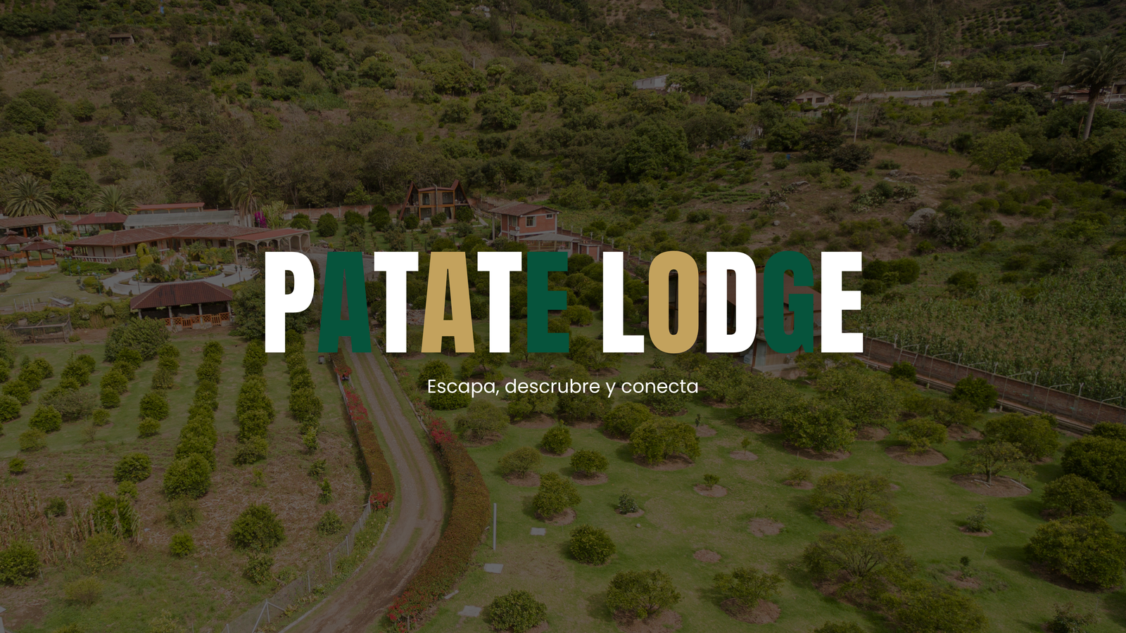 FONDO FOTO PATATE LODGE 11