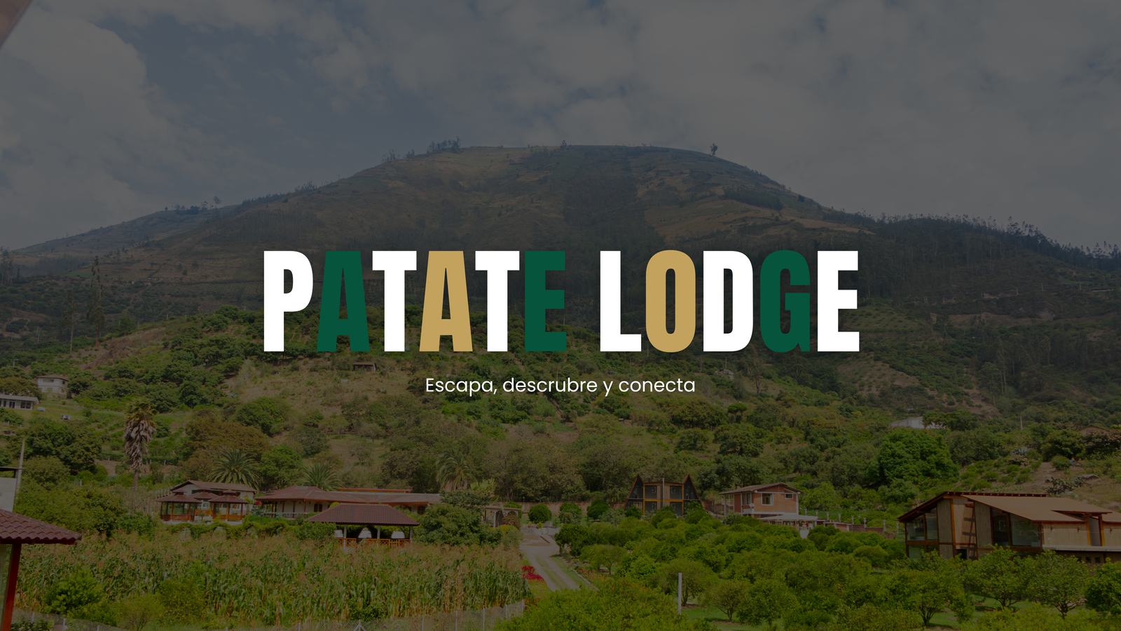 FONDO FOTO PATATE LODGE 4