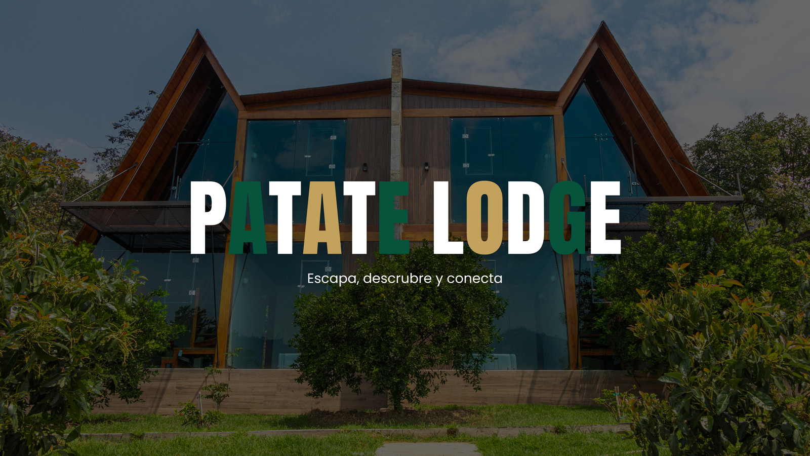 FONDO FOTO PATATE LODGE 6