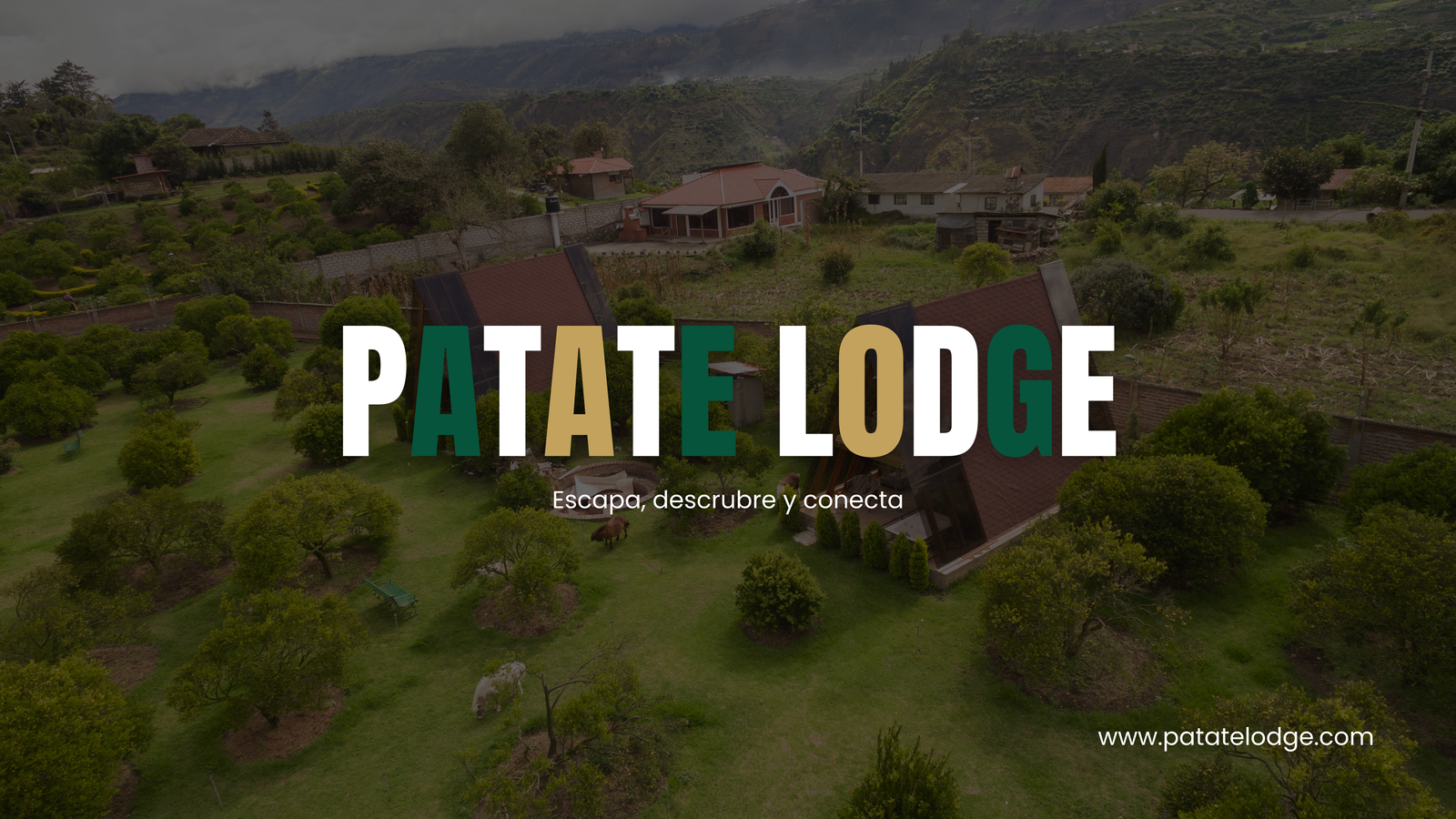 FONDO FOTO PATATE LODGE 8