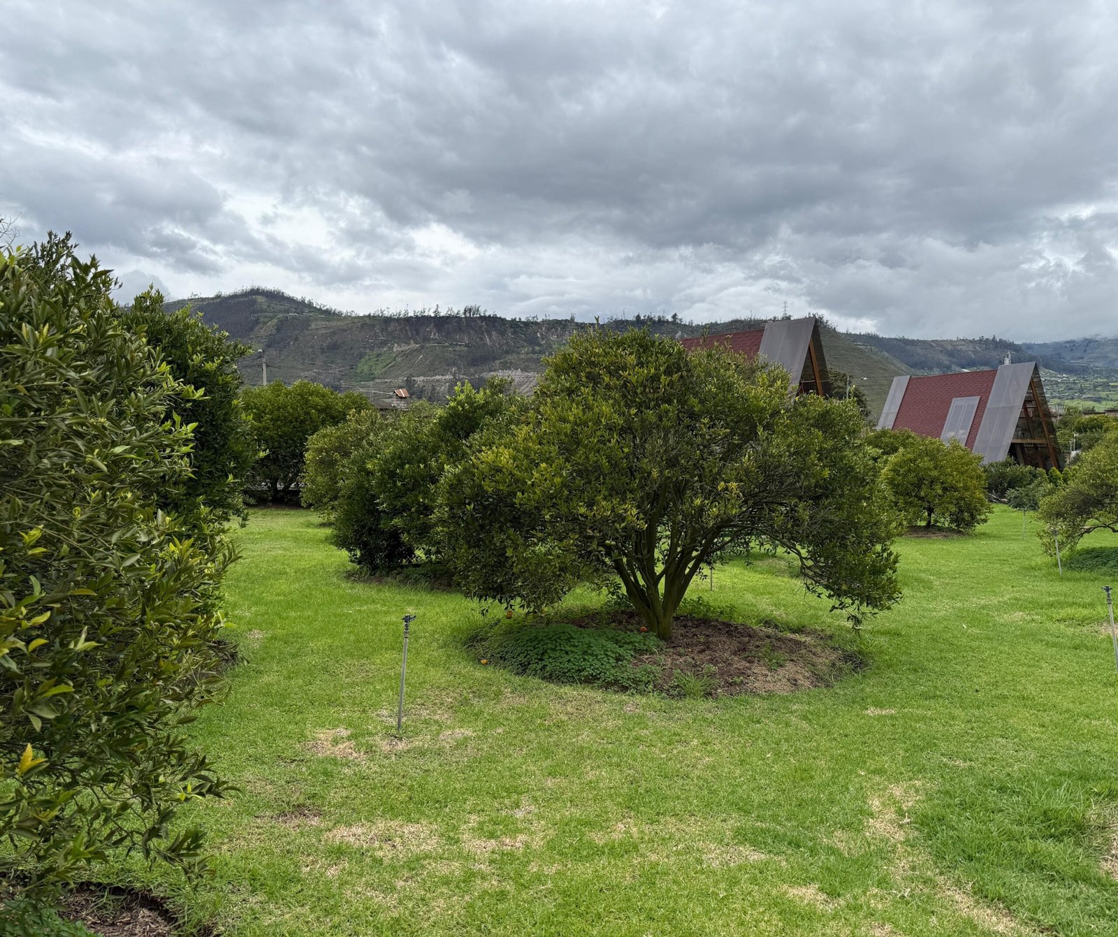 PATATE LODGE ACTIVIDADES 9