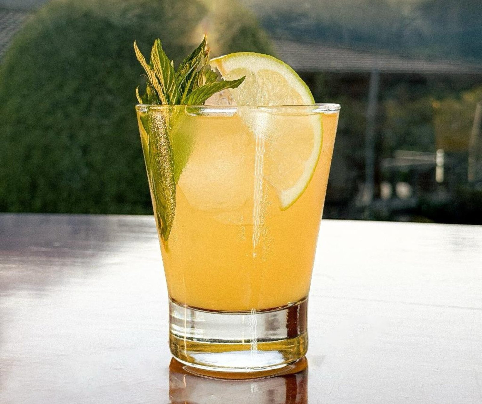PATATE LODGE COCTEL 4